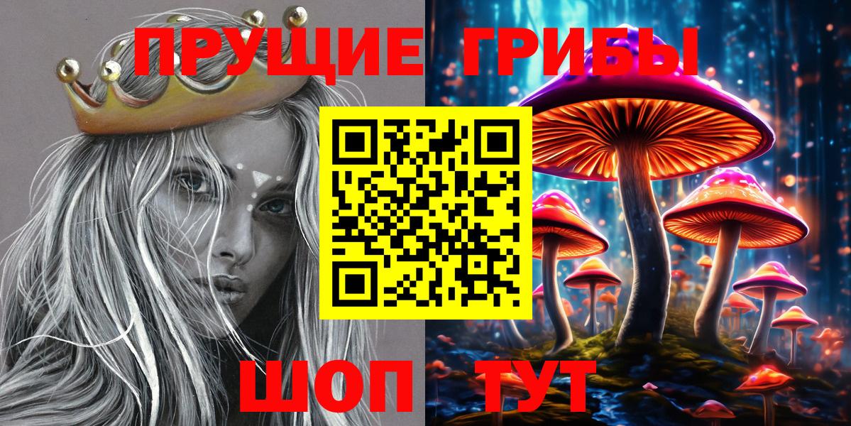 Псилоцибиновые грибы Psilocybe  Вход с VPN  Черняховск 